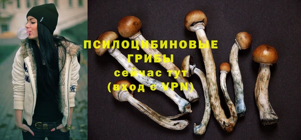гашик Лиски