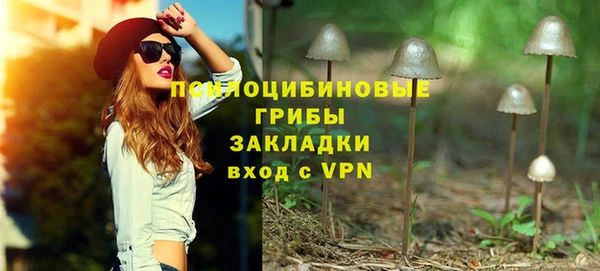 кокс Магас