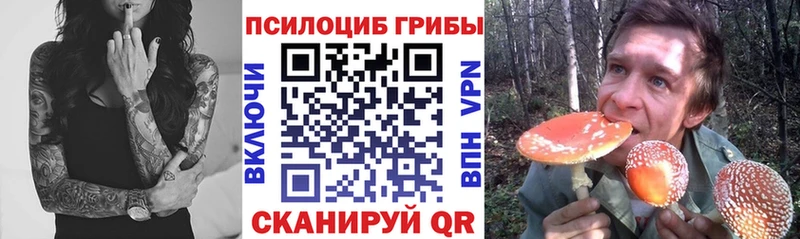 Купить закладки  Руза  Псилоцибиновые грибы Cubensis 